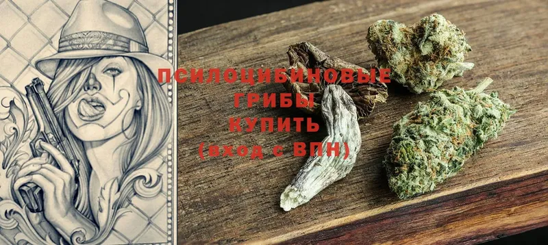 Псилоцибиновые грибы мухоморы  купить наркотик  Тюмень 